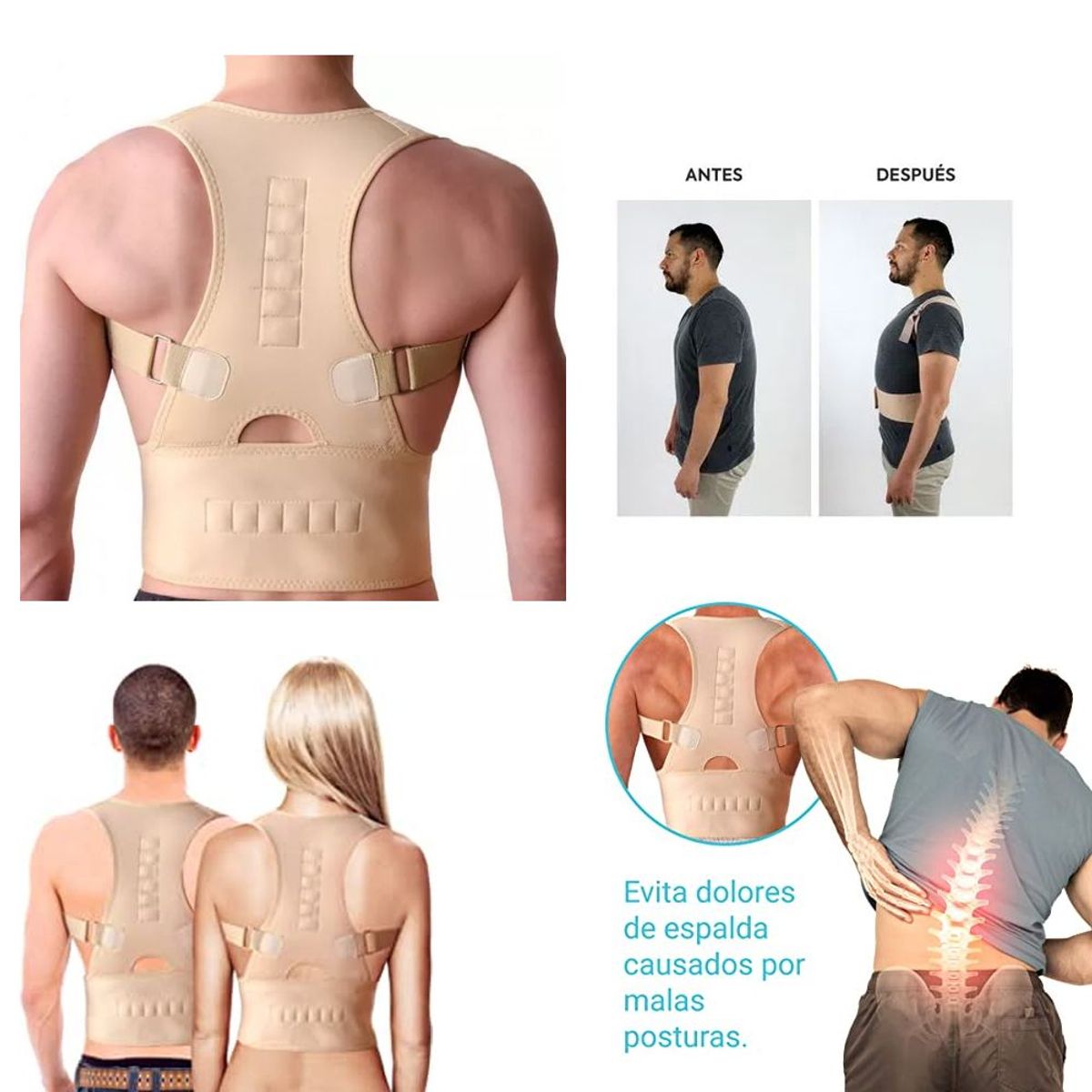 GENERICO - Corrector postura magnética ajustable espalda faja barriga - M