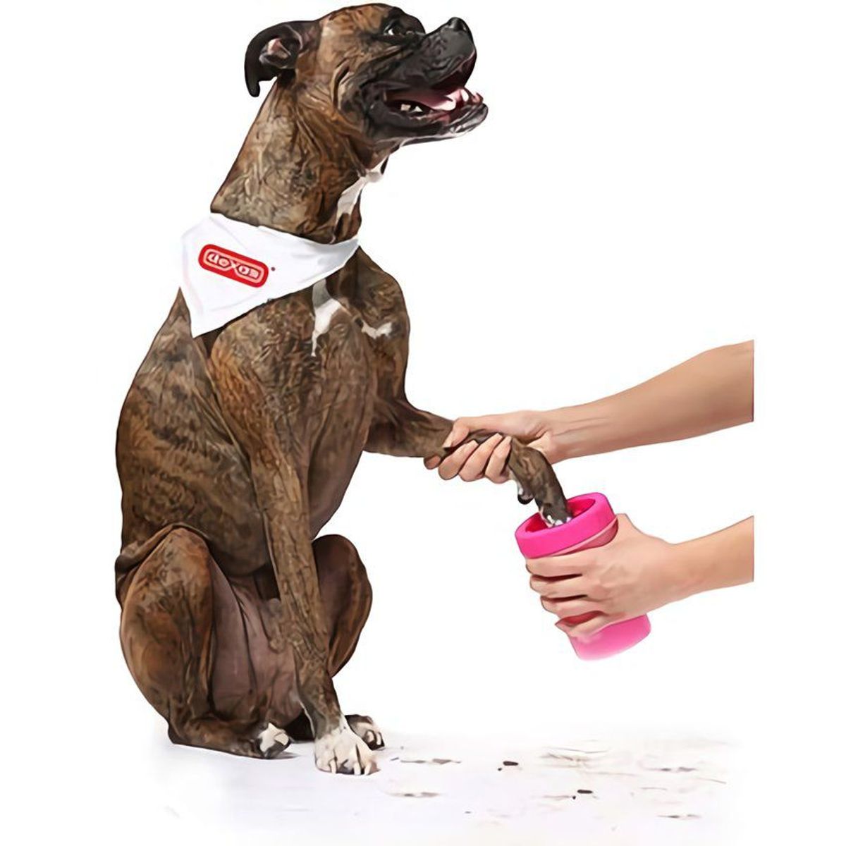 GENERICO - Limpiador lava pata para perro gato grande - rosado