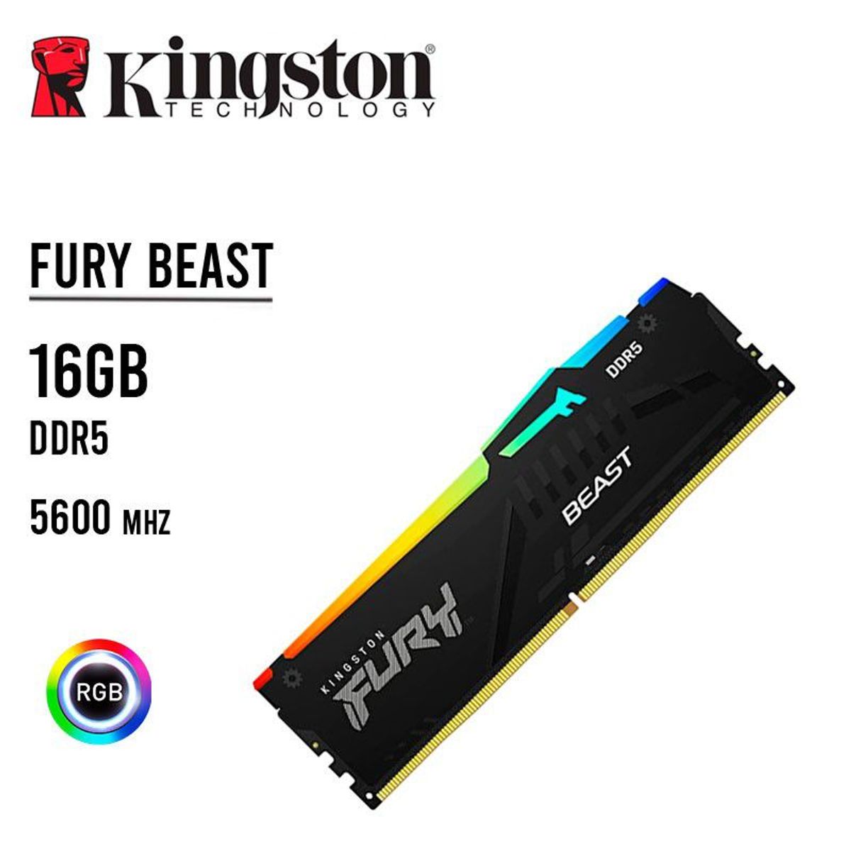 KINGSTON - Memoria RAM Kingston FURY Beast ARGB 16GB DDR5 5600MHz CL40