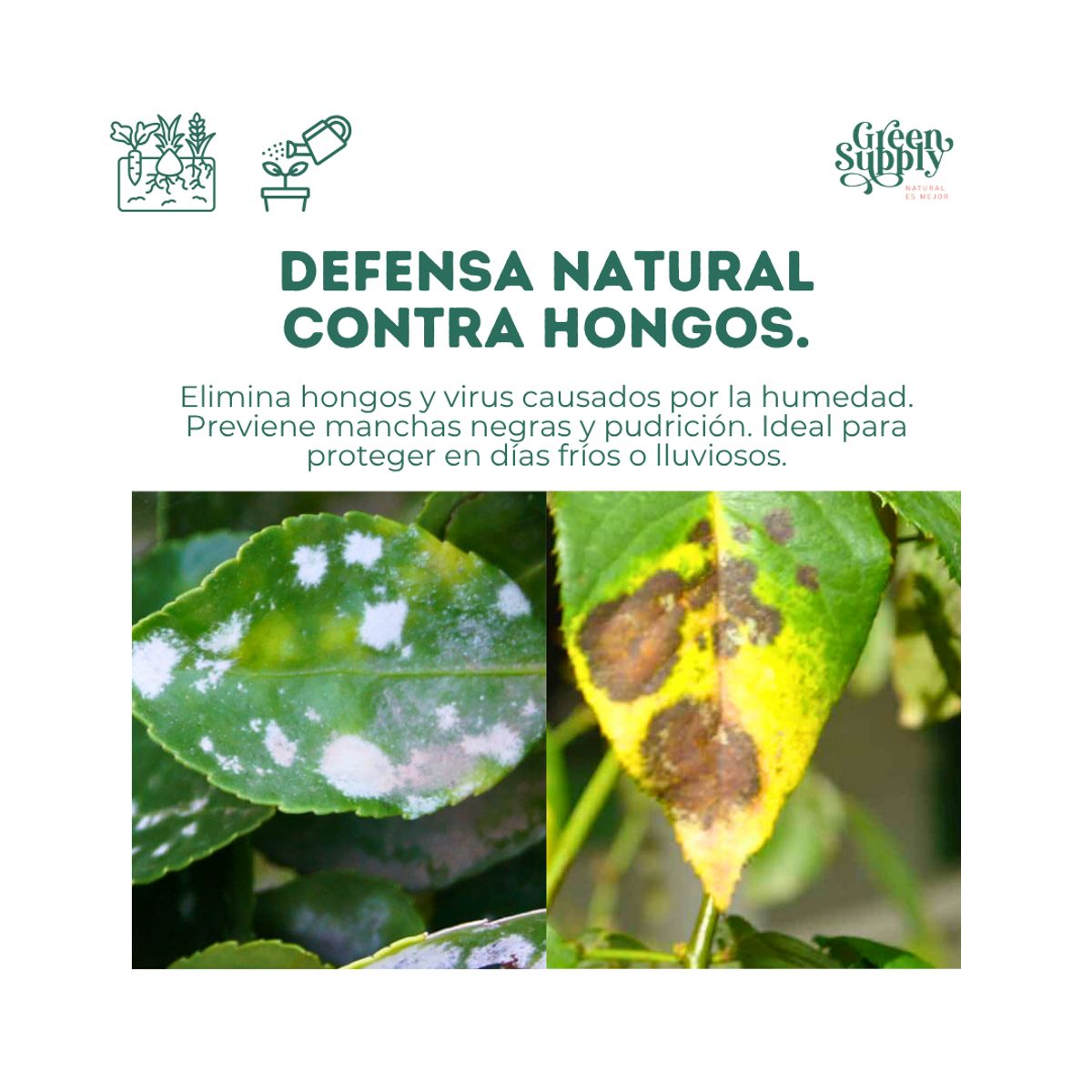 GREEN SUPPLY - Defense Cobre ORGÁNICO 250ml