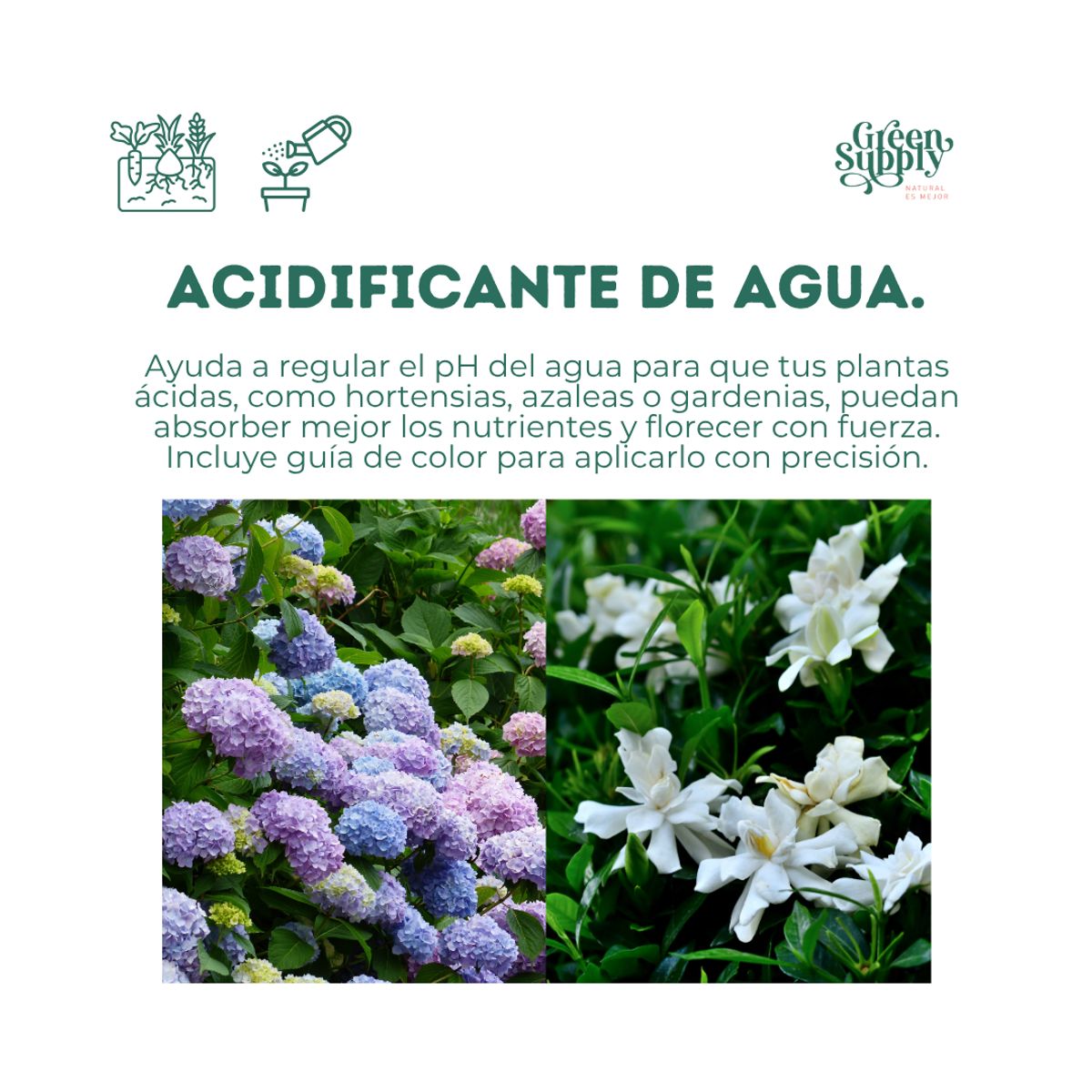 GREEN SUPPLY - Acidificante de Agua 1L - PH