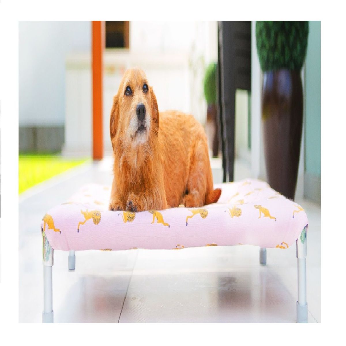OTTOWARE - Cama para Mascotas Talla L