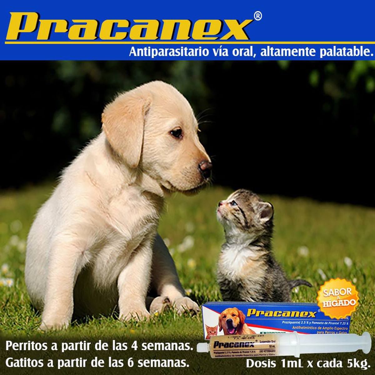 GENERICO - PRACANEX 5 ML ANTIPARASITARIO MASCOTAS VIA ORAL