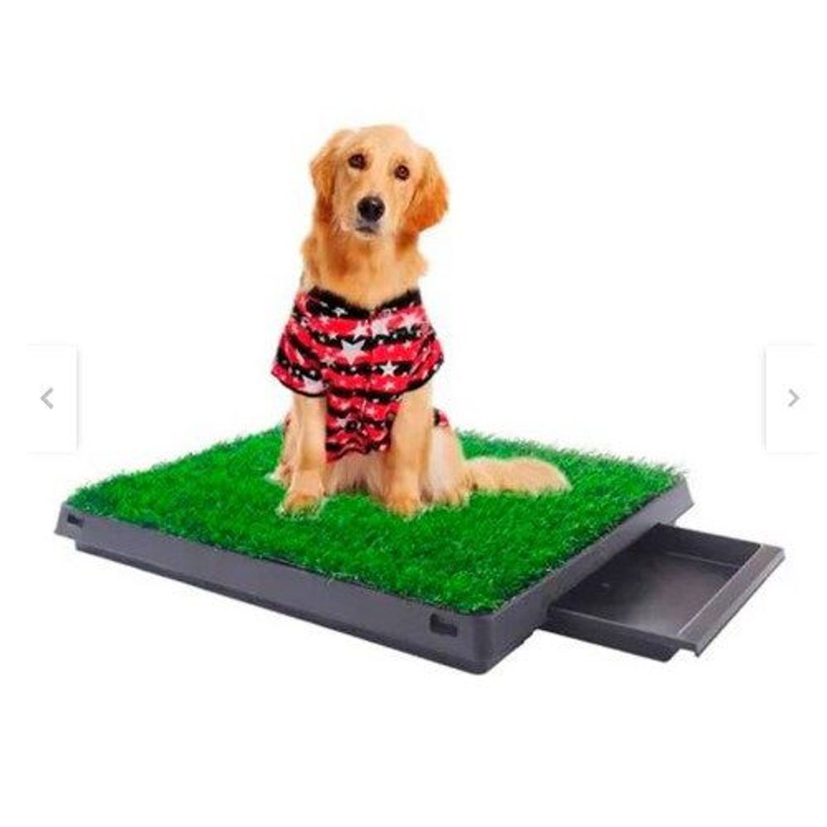 BAÑO ECOLOGICO PARA PERROS  Grande 64 X 51 CM, marca GENERICO - Foto Principal