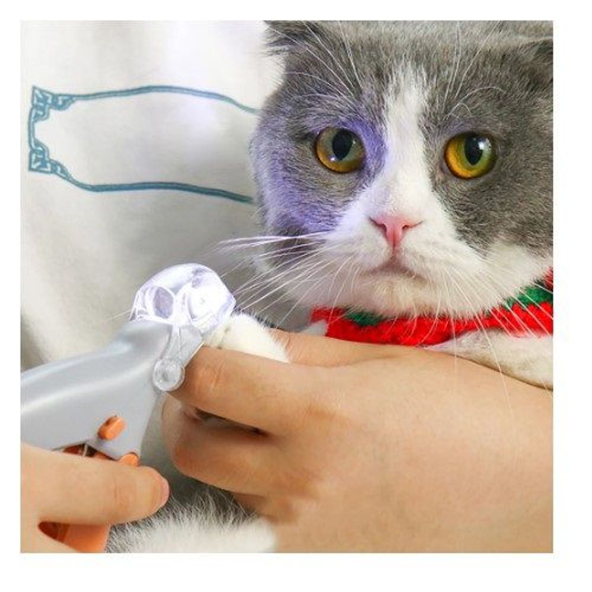 GENERICO - corta uña mascotas led calidad A1