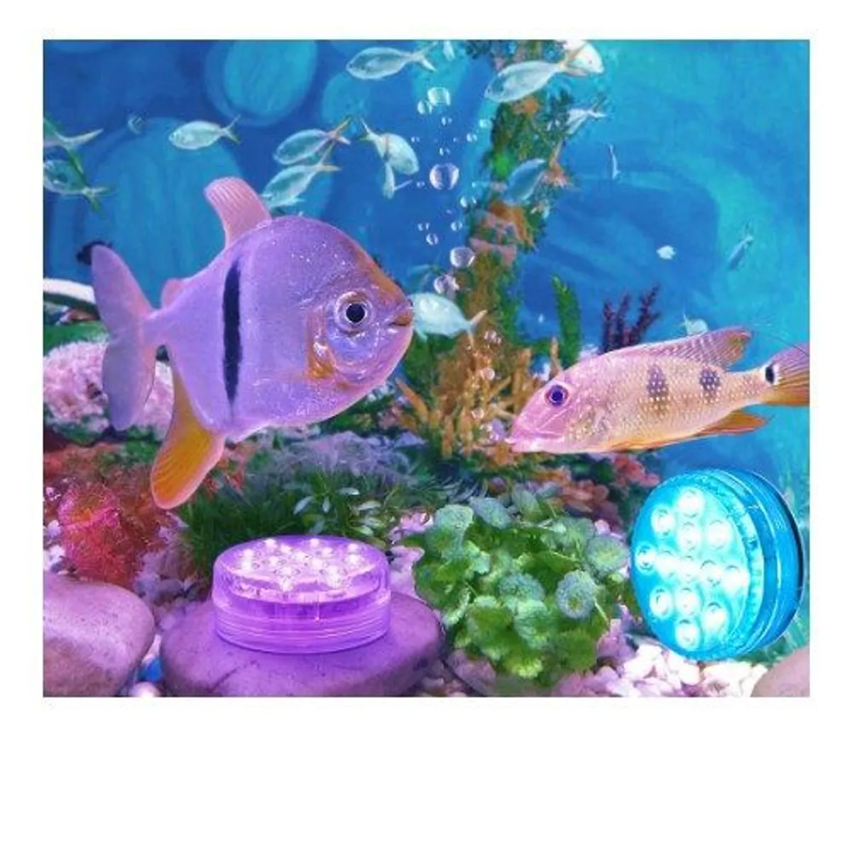 GENERICO - luces piscina calidad A1