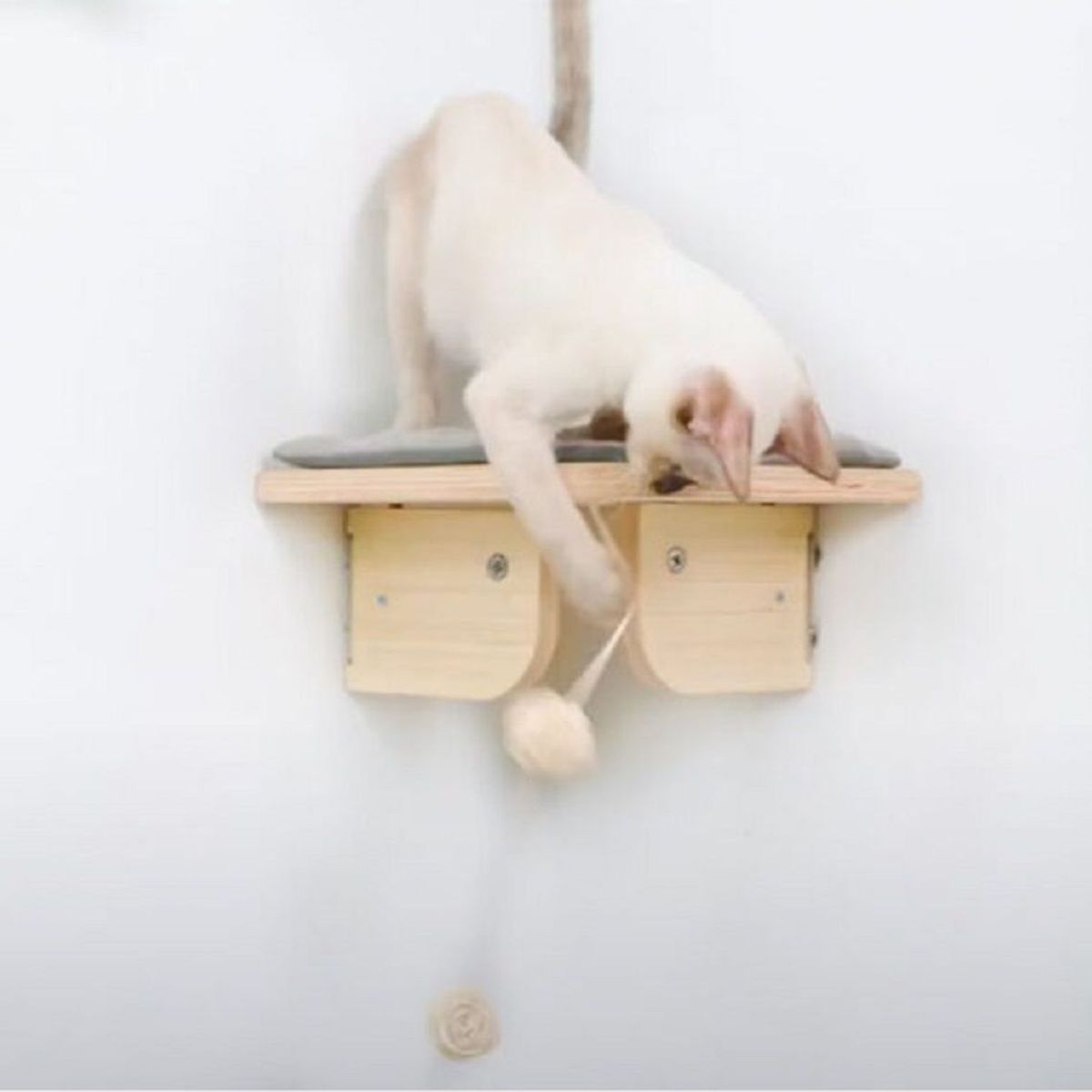 ALL FOR PAWS - Skywalk  Plataforma de esquina para Gatos