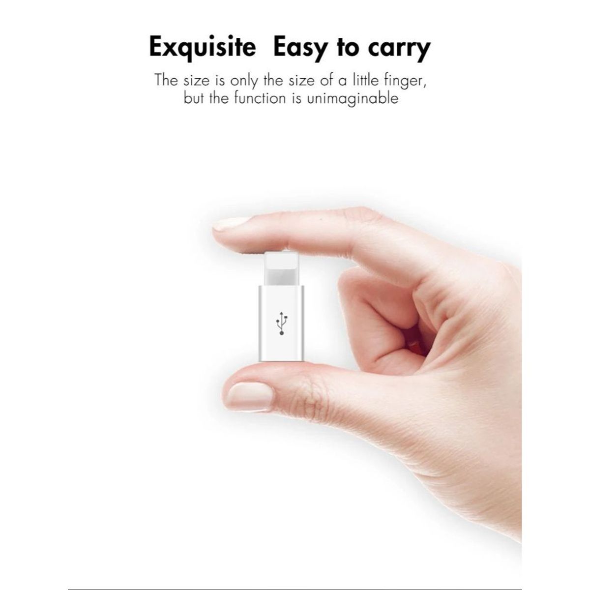 ANKAFA IMPORTACI?N - Adaptador Otg De Microusb V8 A Lightning iPhone x 2 UNIDADES