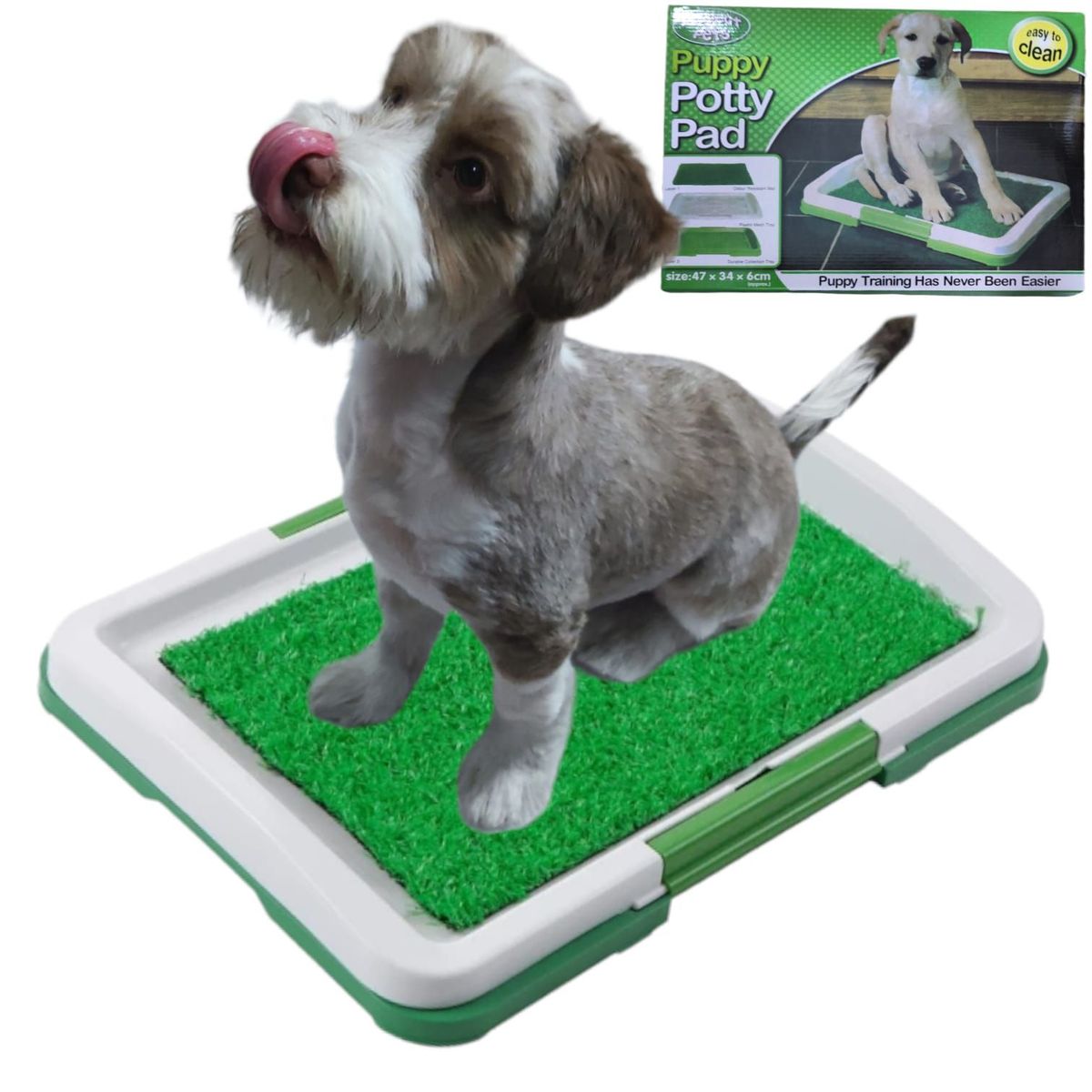 OEM - Bandeja Lavable Entrenador para Mascotas Puppy Potty Pad
