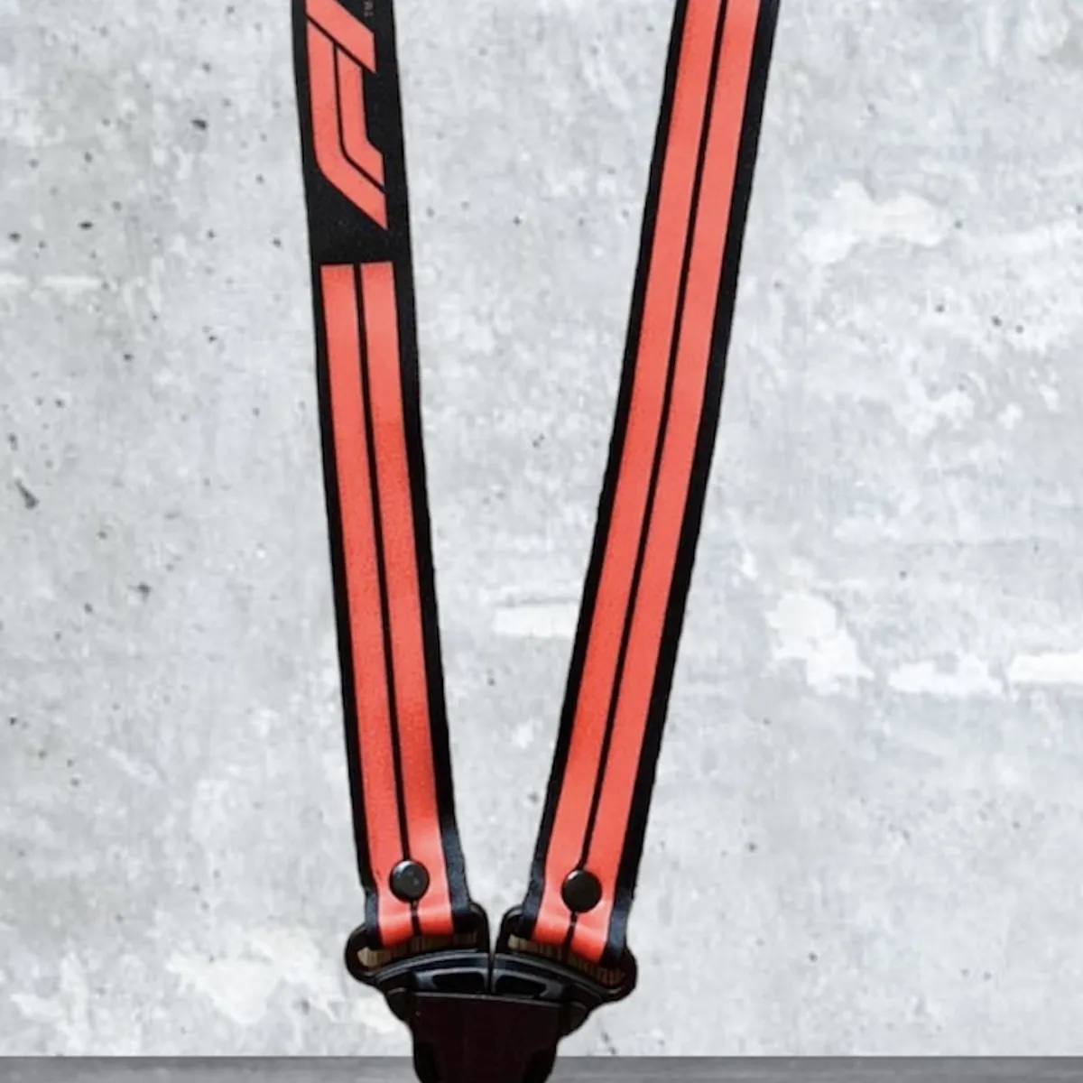 GENERICO - Llavero Formula 1 F1 Lanyard Pita Colgador Llaves Negro