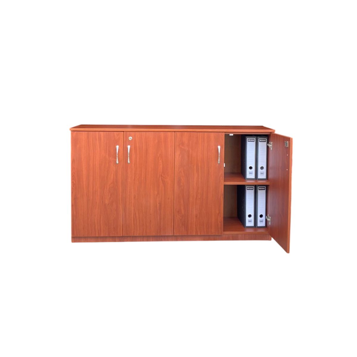 TEMEL - Credenza Mueble de Oficina Organizador de Archivos Cedro