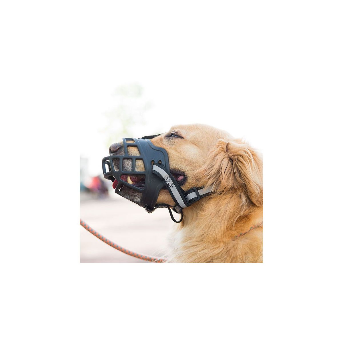 QUE PATAS PET SHOP - Bozal para Perro Talla 5