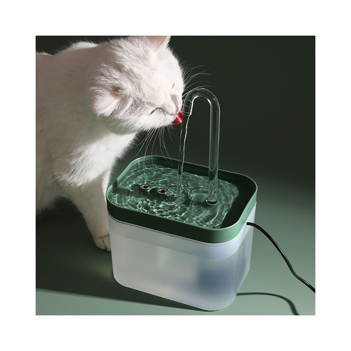 QUE PATAS PET SHOP - Fuente Básica para Gatos Hidratación Constante Verde