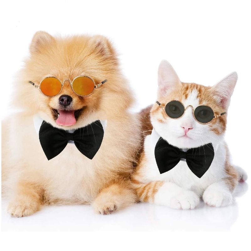 OTTOWARE - Lentes Redondos para Mascota