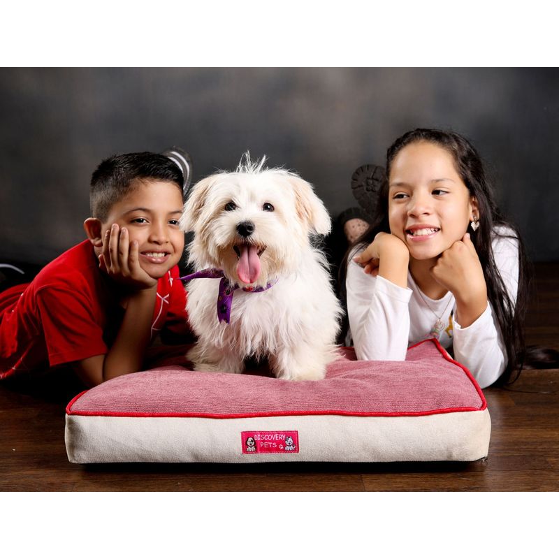 DISCOVERY PETS - Colchoneta Royal Talla 2 Color Vino