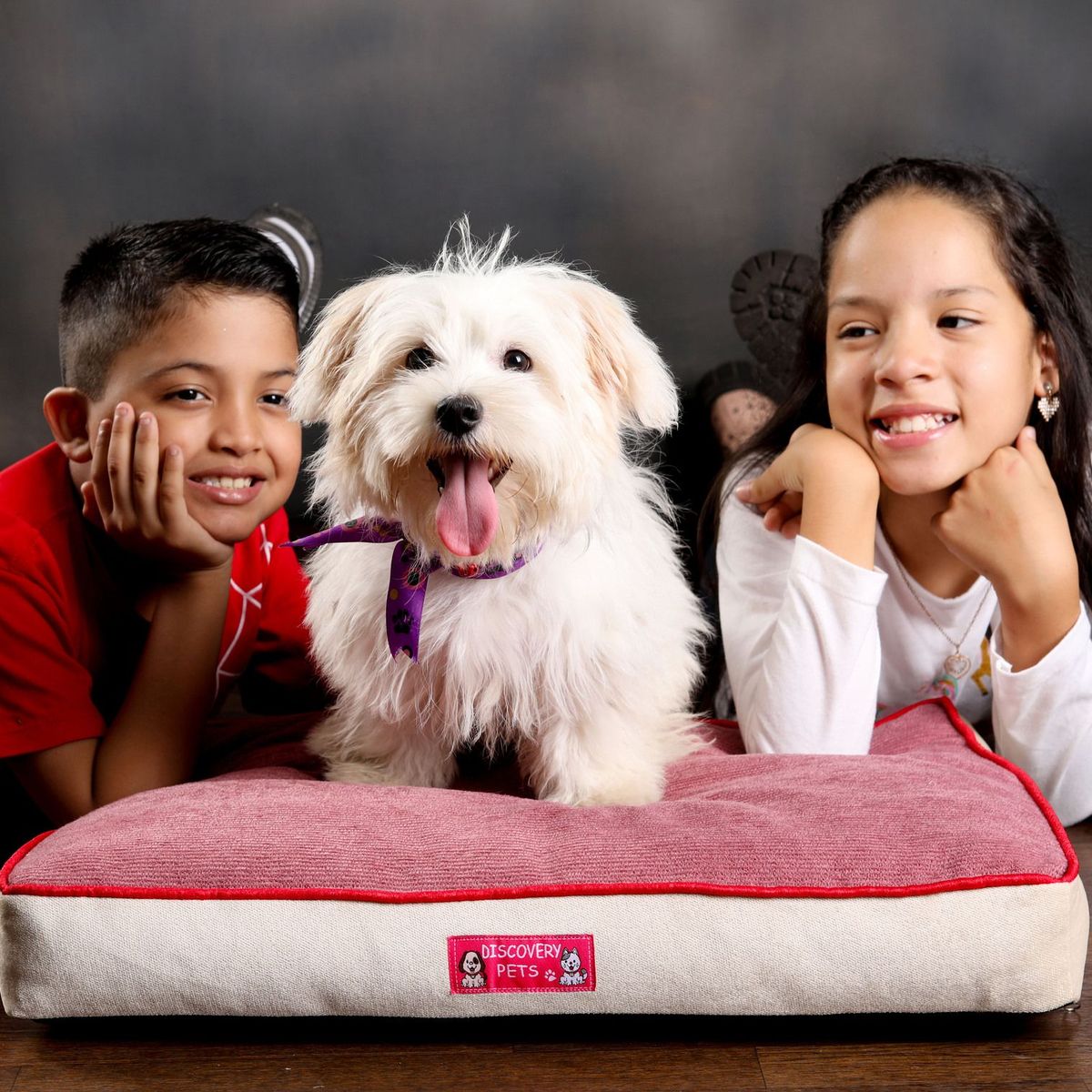 DISCOVERY PETS - Colchoneta Royal Talla 2 Color Plomo