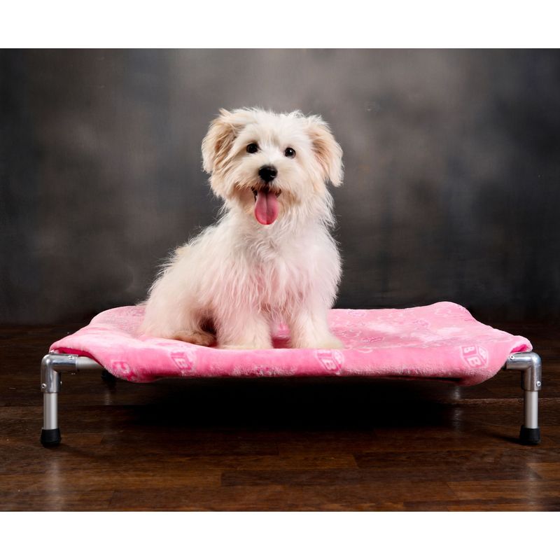 DISCOVERY PETS - Cama Hamaca Premium Talla 1 color Fucsia