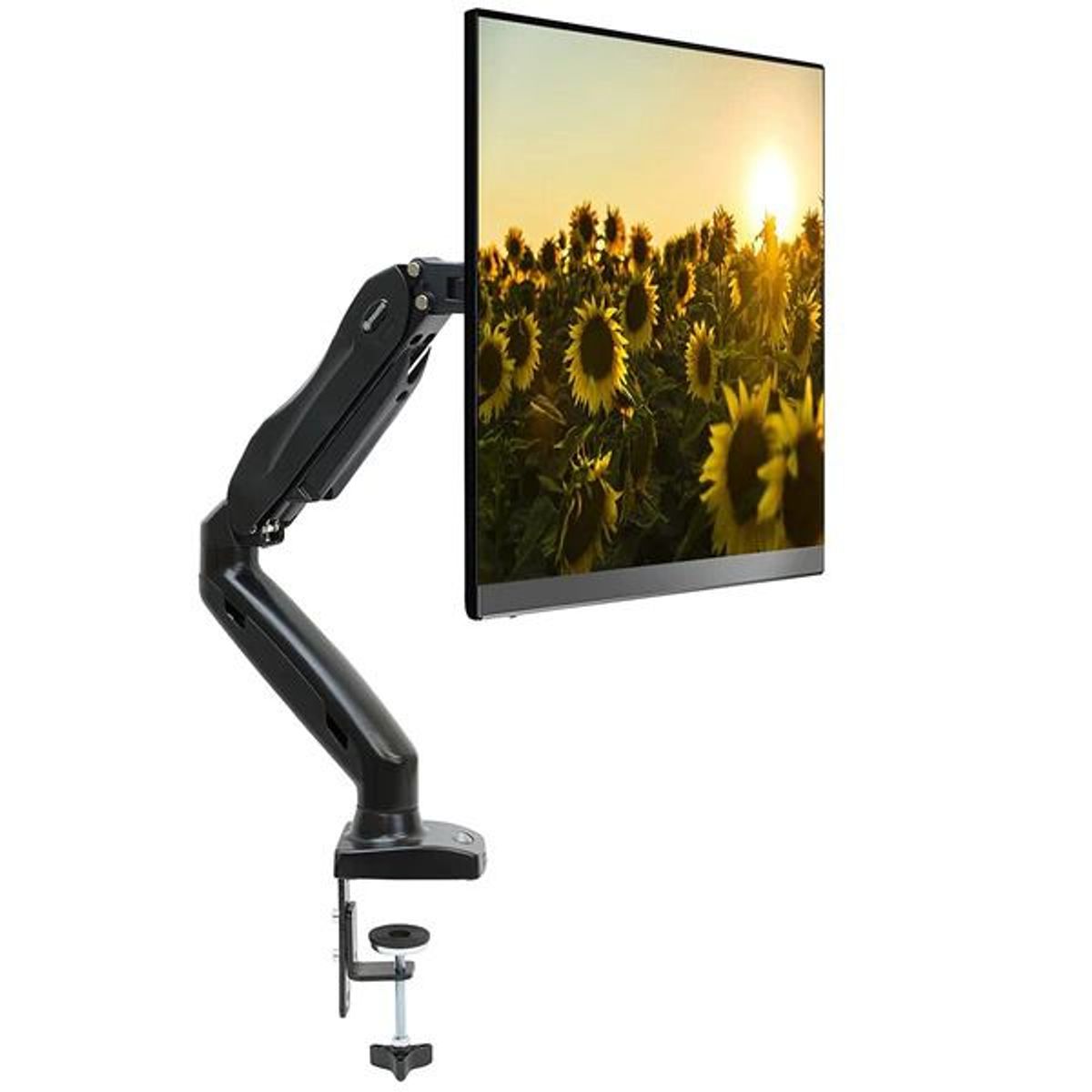 GENERICO - MONTECH - Rack Soporte Para Monitor 13 a 27 Pulg - Gas Spring