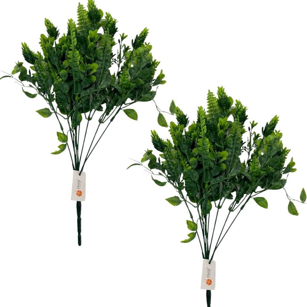 FLORIPA - Pack de 2 Ramas de Hojas de Sophorae 00128 FLORIPASTORE