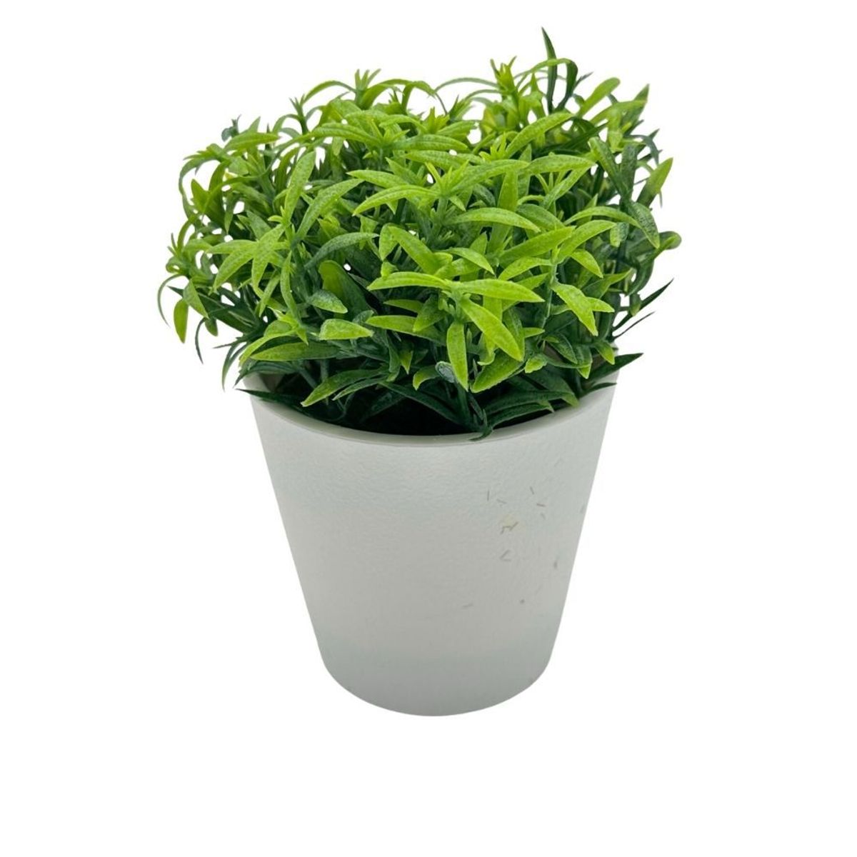 FLORIPA - Florero de Espárrago 00130-2 FLORIPASTORE