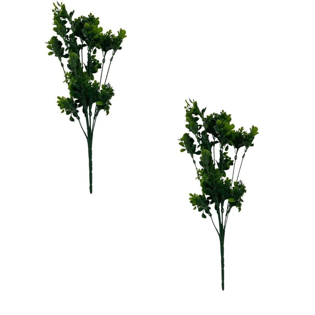 FLORIPA - Pack de 2 Ramas de Ruda 00123