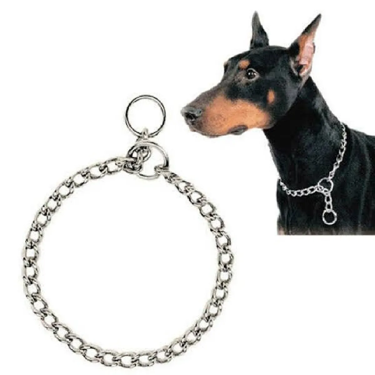 OTTOWARE - Collar de Ahorque Metálico para Perros T3
