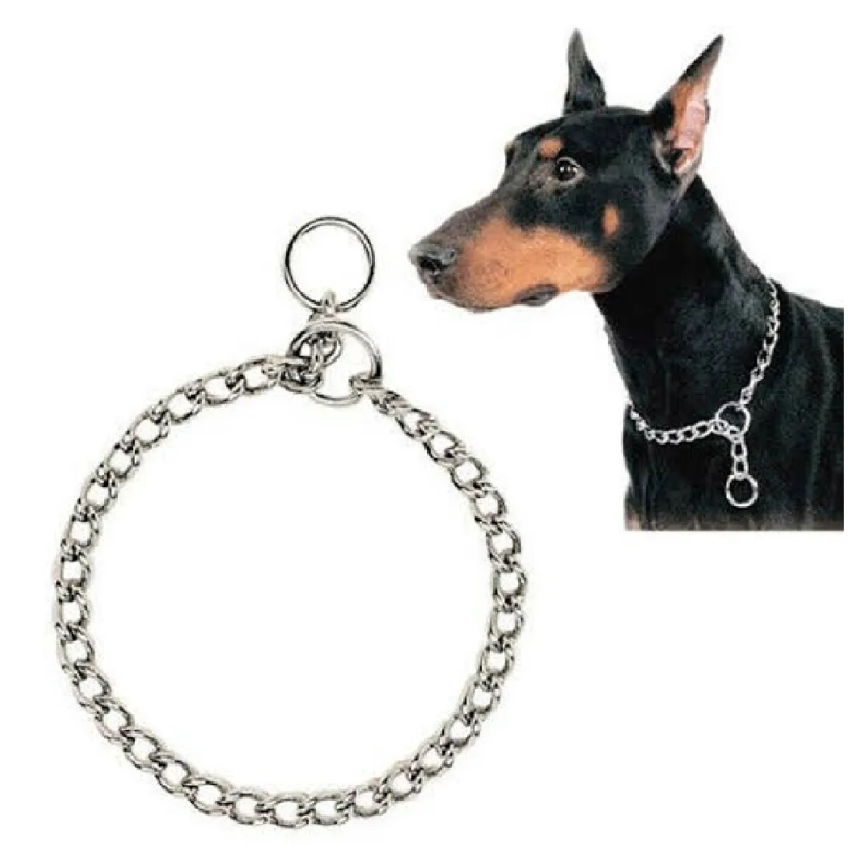 OTTOWARE - Collar de Ahorque Metálico para Perros T3