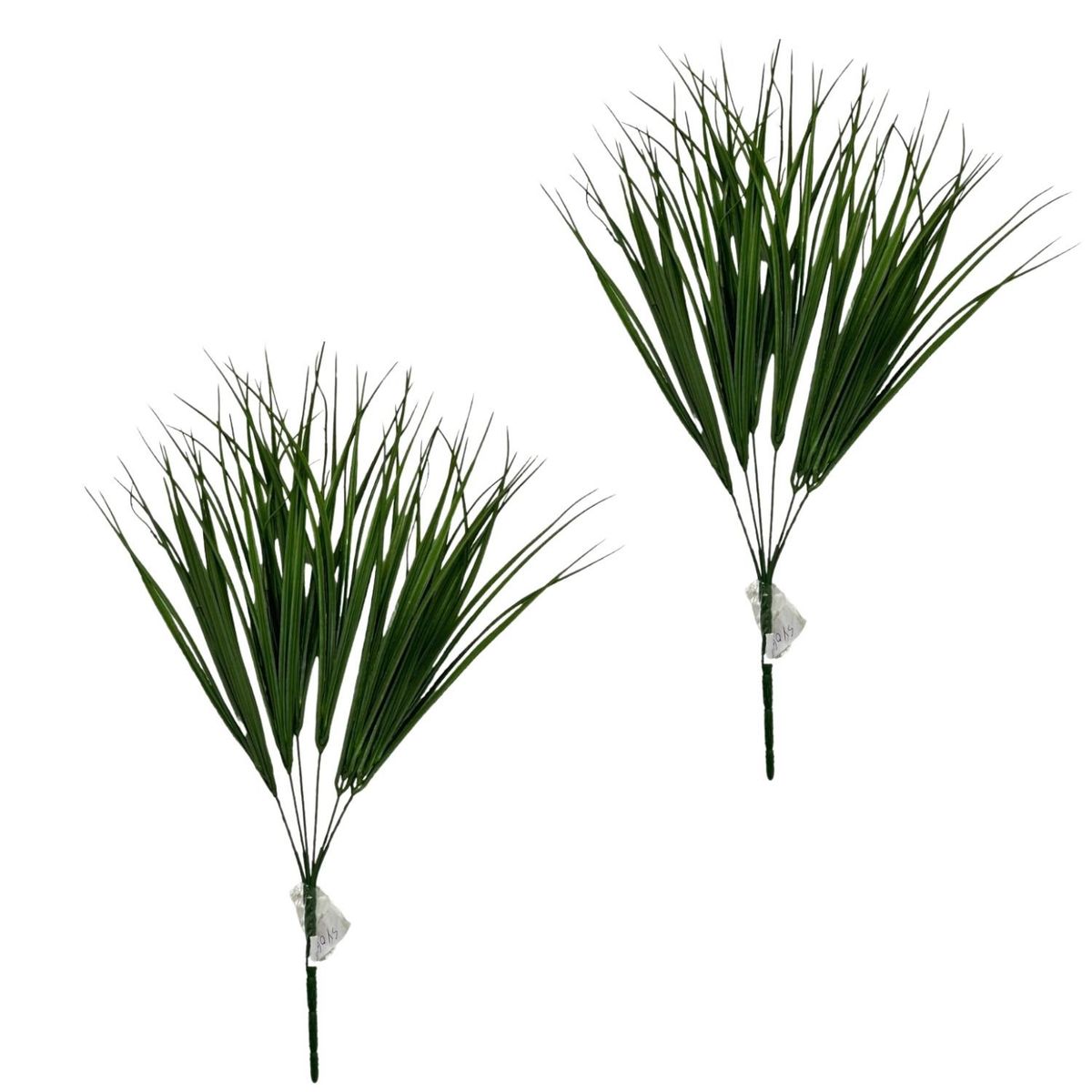 FLORIPA - Pack de 2 Bouquets de Pasto SY06043 FLORIPASTORE