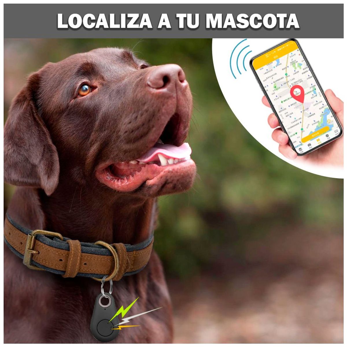 SASHIJA - Llavero GPS Localizador Bluetooth con Alarma Anti pérdida G08 NG