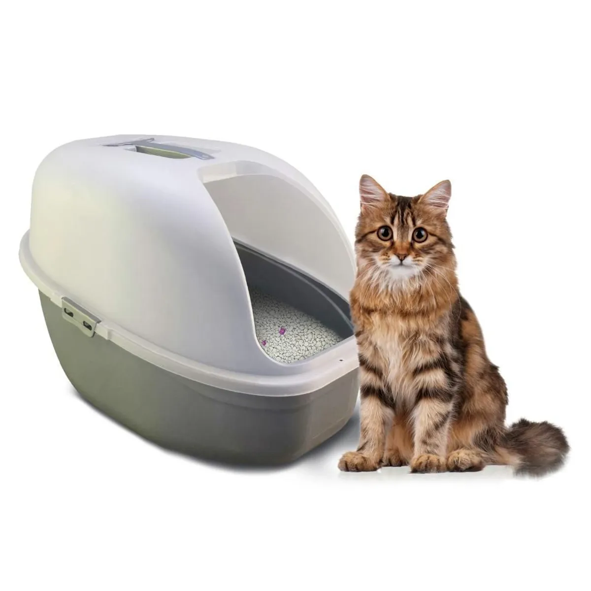 COOL CAT - Arenero para Gatos Portátil con Pala - Cool Cat