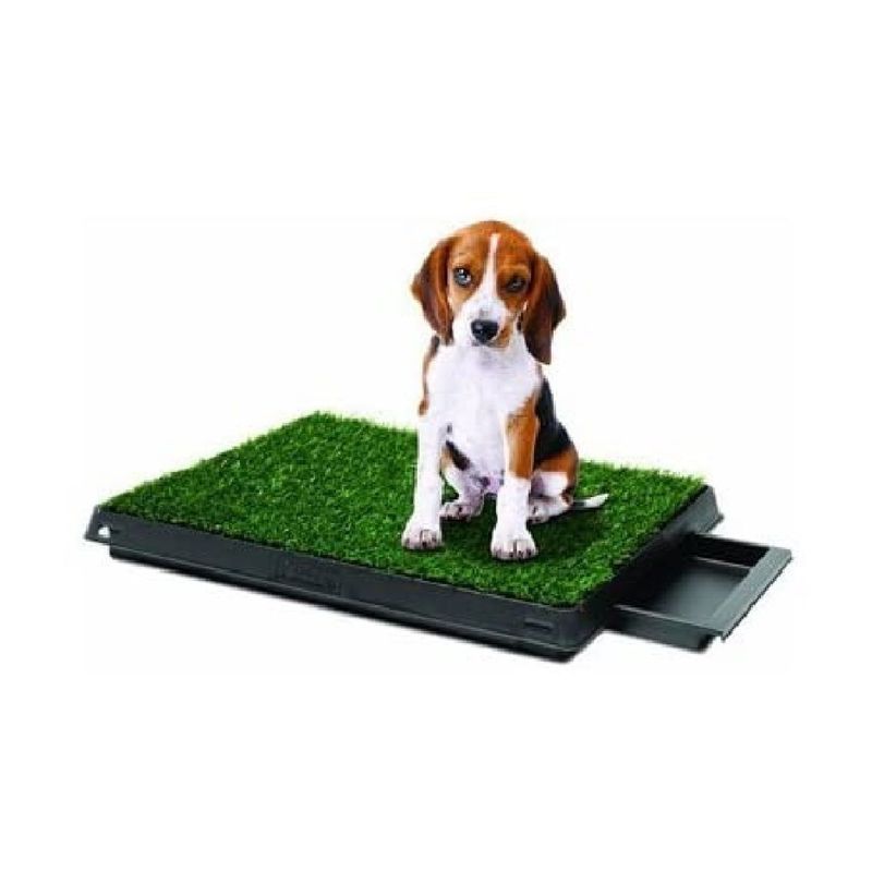 OTTOWARE - Baño Ecológico Portátil con Césped para Perros - Mediano