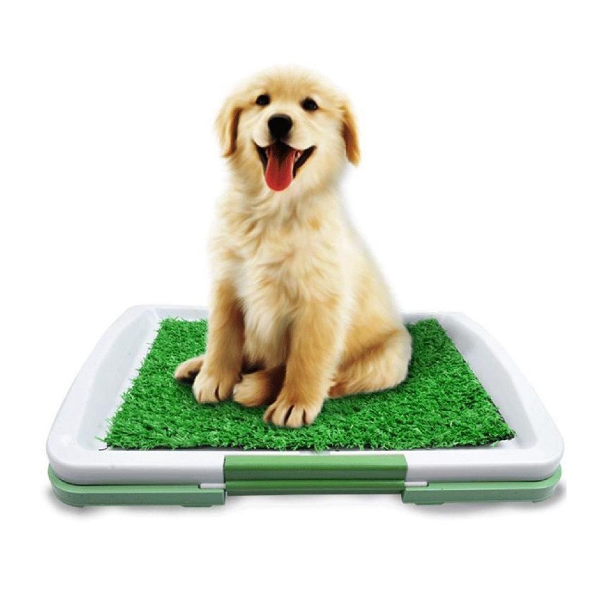 OTTOWARE - Baño Ecológico Portátil Con Césped Para Perros V2  Mediano