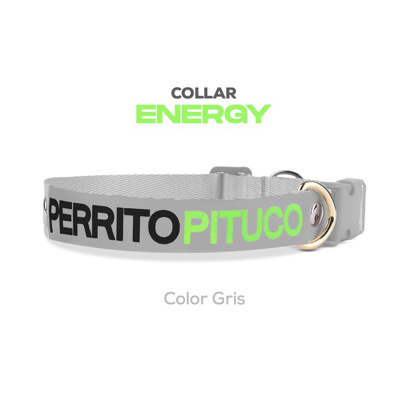 PERRITO PITUCO - COLLAR PERRITO PITUCO ENERGY GRIS TALLA S