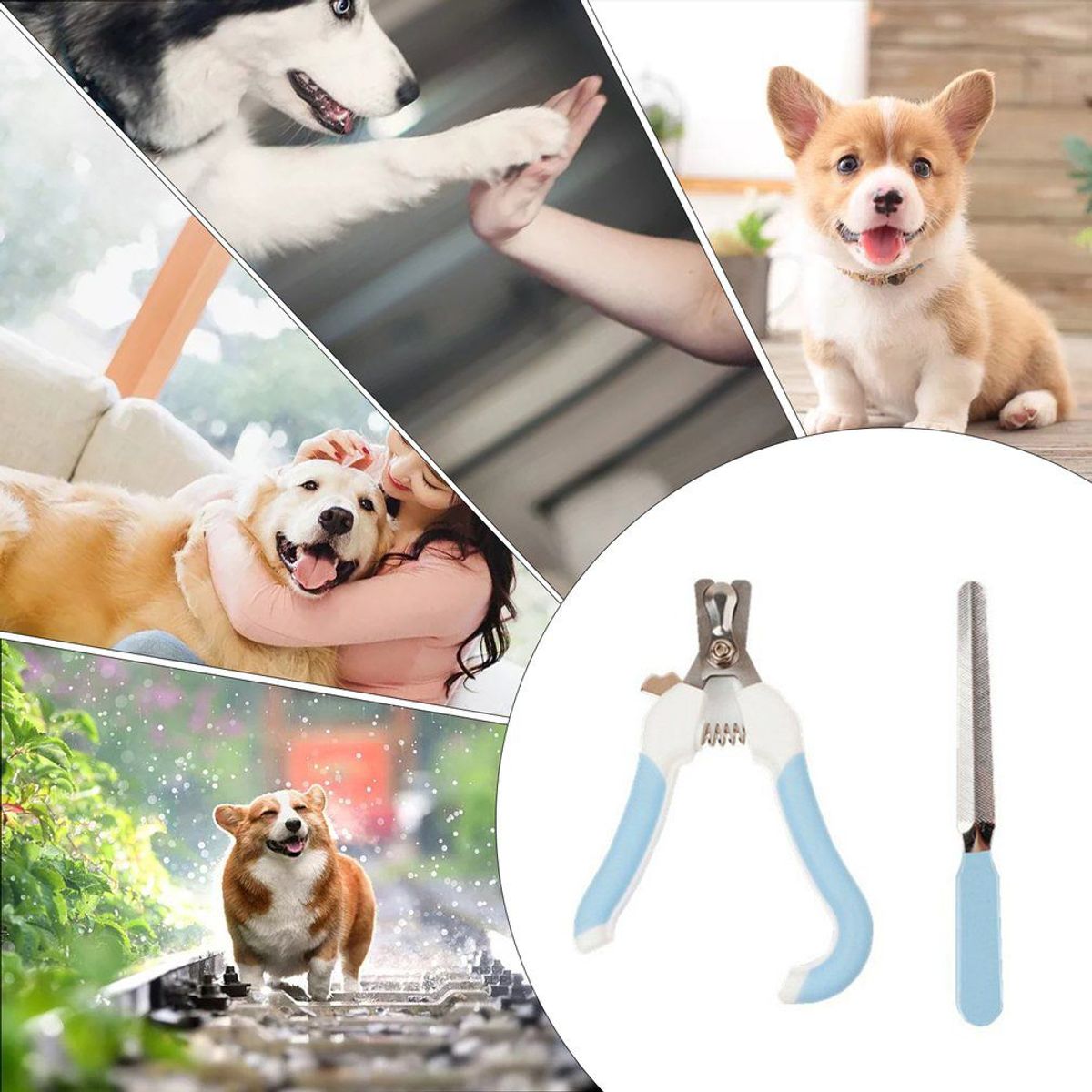 OEM - Recortador Cortauña  Lima para Mascotas Perro Gatos