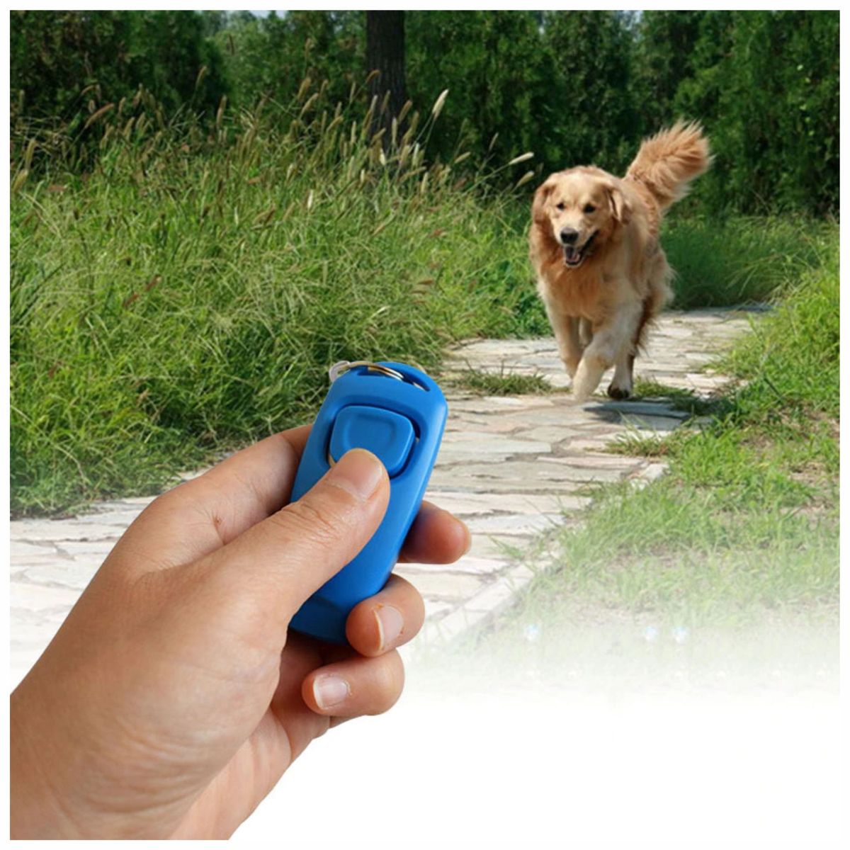 GENERICO - Clicker Con Silbato - Adiestramiento Perros Canino Mascota