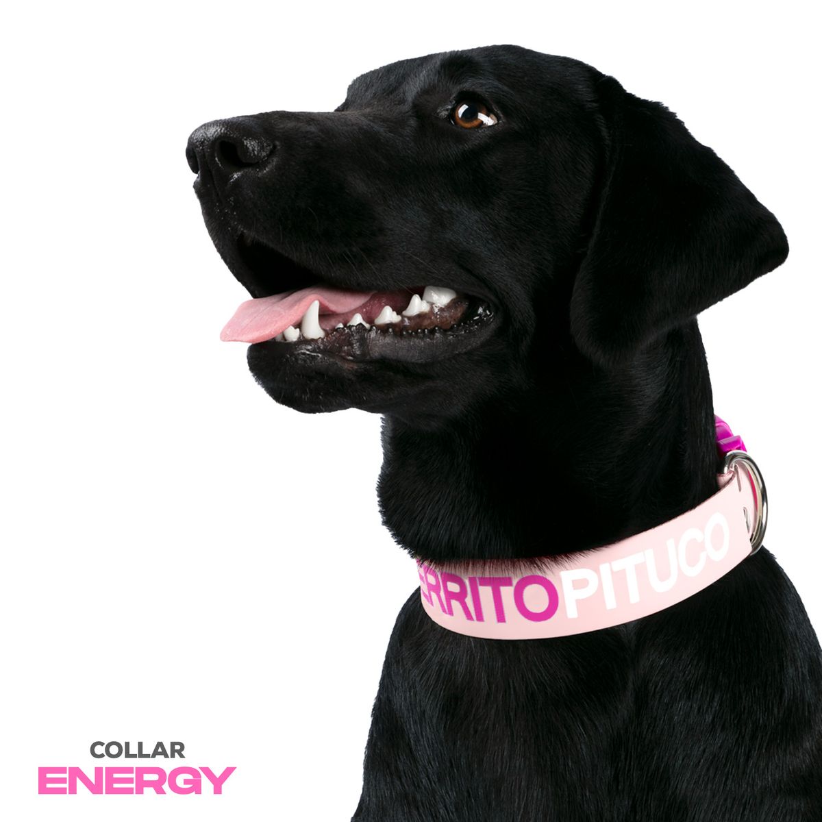 PERRITO PITUCO - COLLAR PERRITO PITUCO ENERGY ROSADO TALLA XL