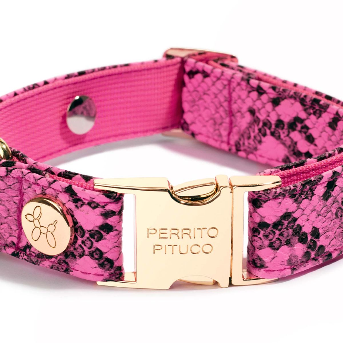 PERRITO PITUCO - COLLAR PERRITO PITUCO PYTHON FUCSIA NEÓN TALLA L