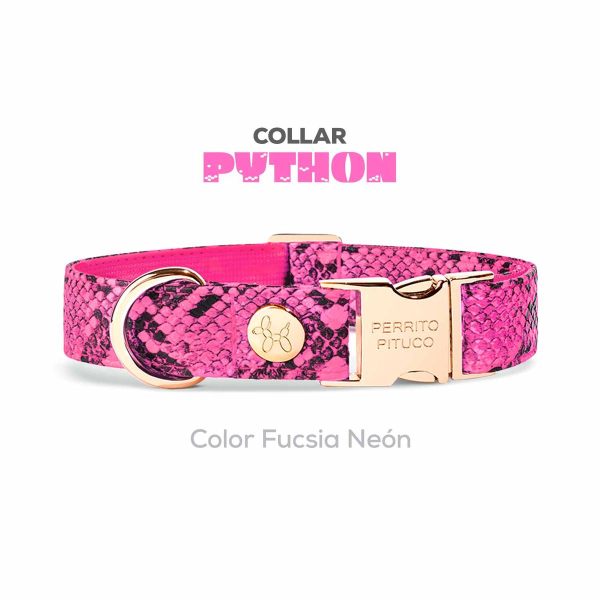 PERRITO PITUCO - COLLAR PERRITO PITUCO PYTHON FUCSIA NEÓN TALLA XS