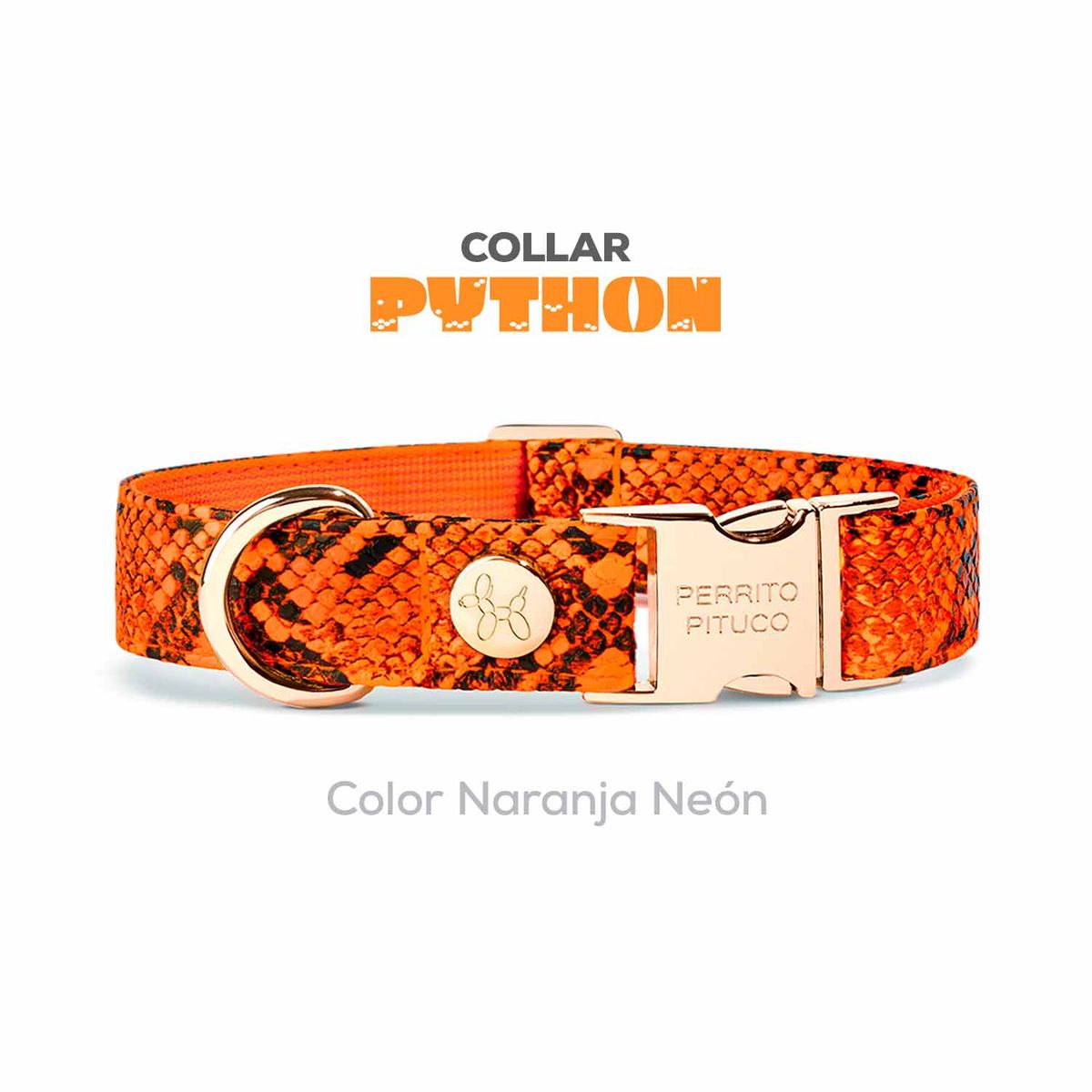 PERRITO PITUCO - COLLAR PERRITO PITUCO PYTHON NARANJA NEÓN TALLA XL