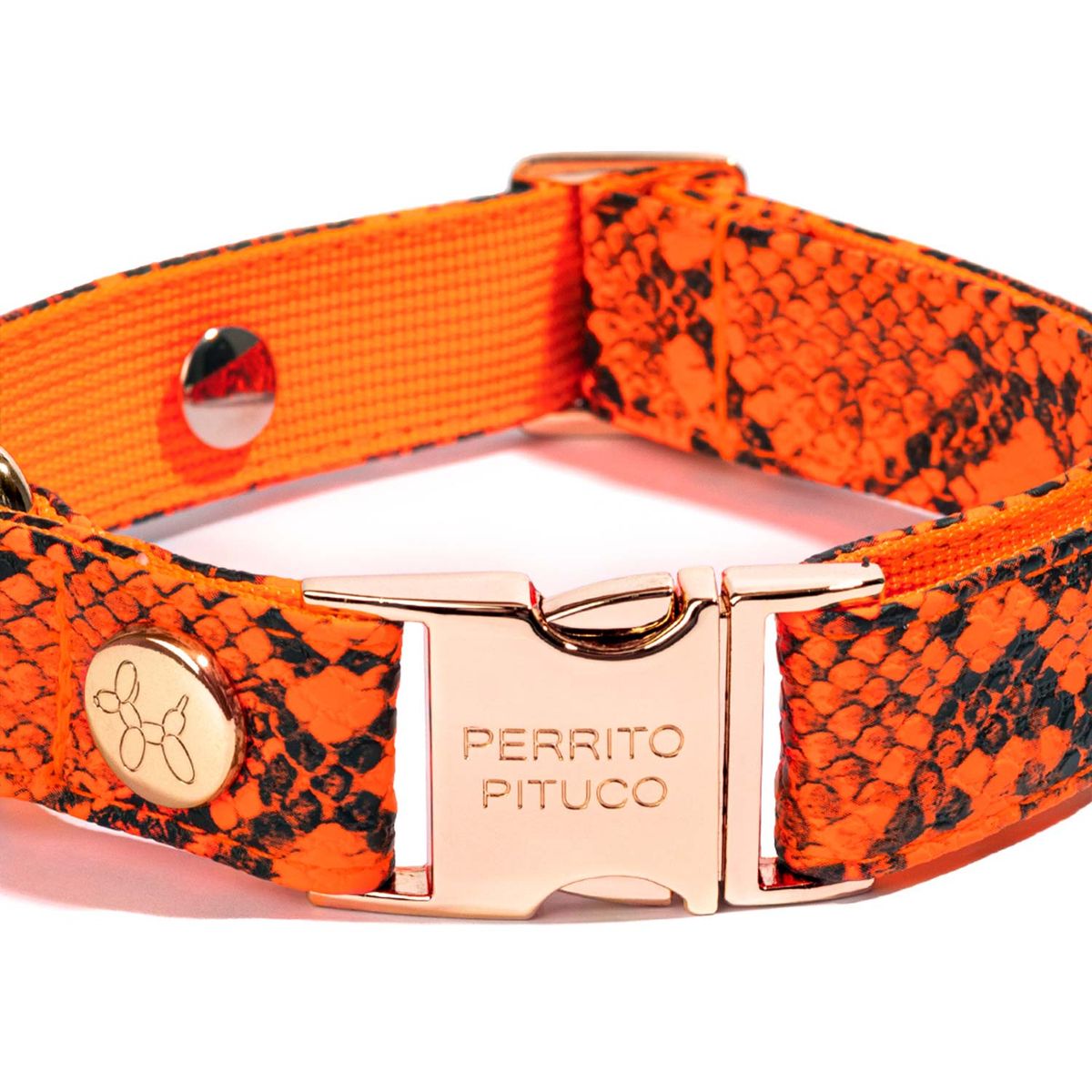 PERRITO PITUCO - COLLAR PERRITO PITUCO PYTHON NARANJA NEÓN TALLA XS