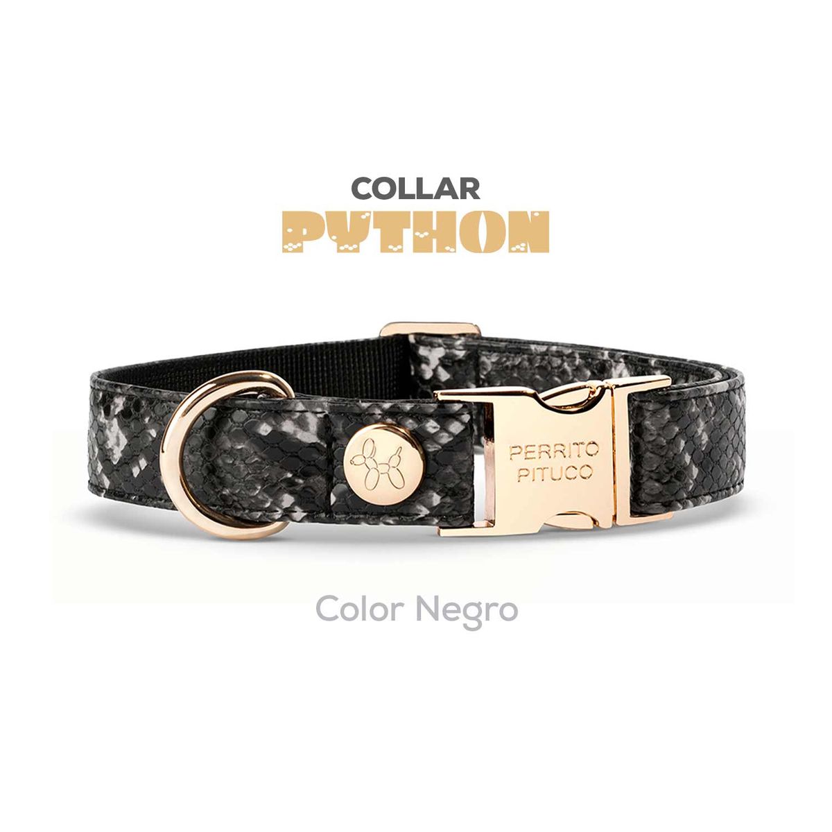 PERRITO PITUCO - COLLAR PERRITO PITUCO PYTHON NEGRO TALLA S