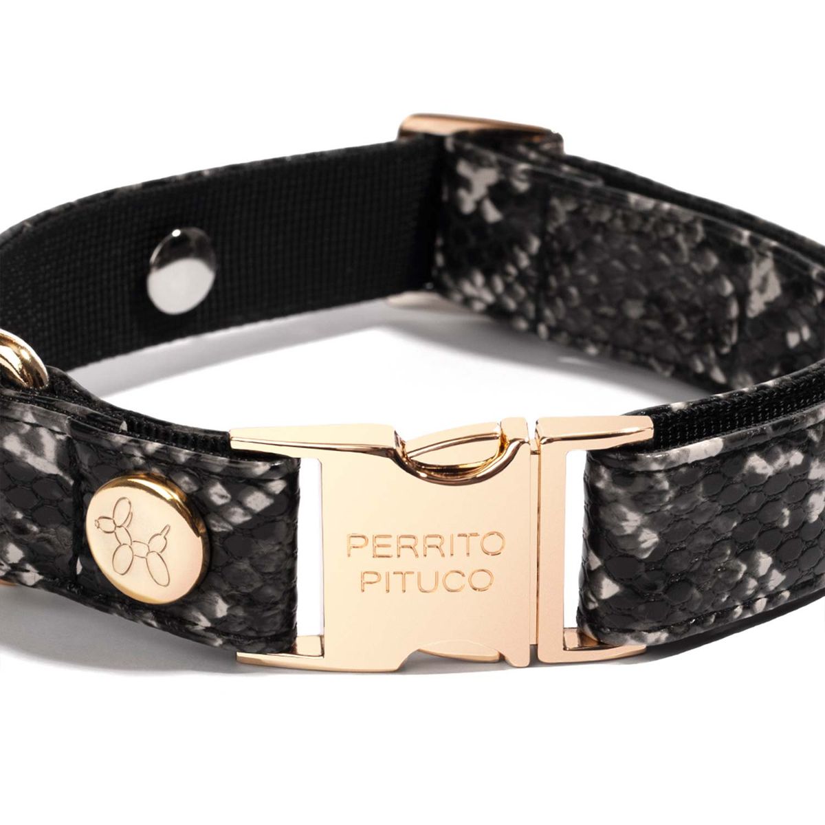 PERRITO PITUCO - COLLAR PERRITO PITUCO PYTHON NEGRO TALLA S