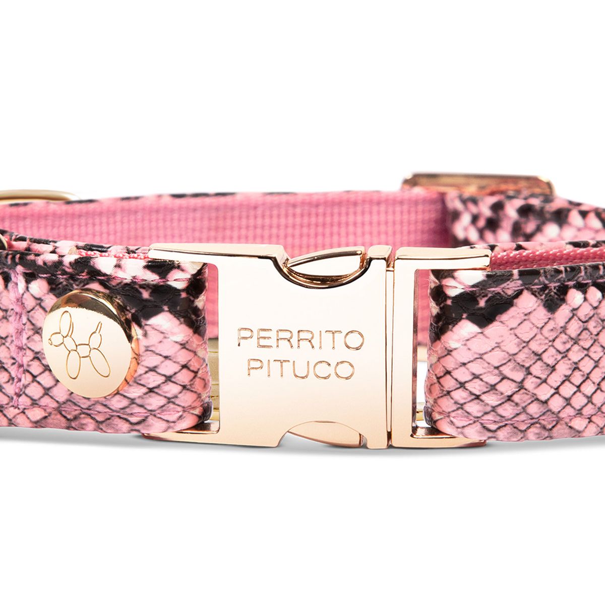 PERRITO PITUCO - COLLAR PERRITO PITUCO PYTHON NUDE TALLA M