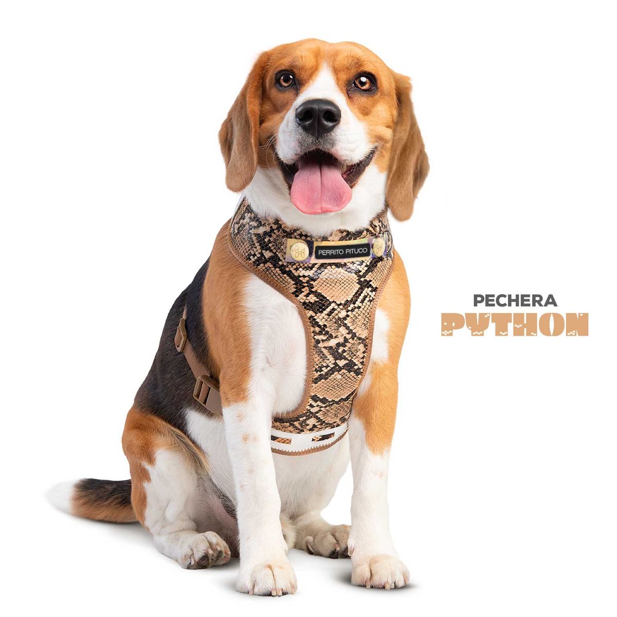 PERRITO PITUCO - PECHERA PERRITO PITUCO PYTHON CAMEL TALLA S PLUS
