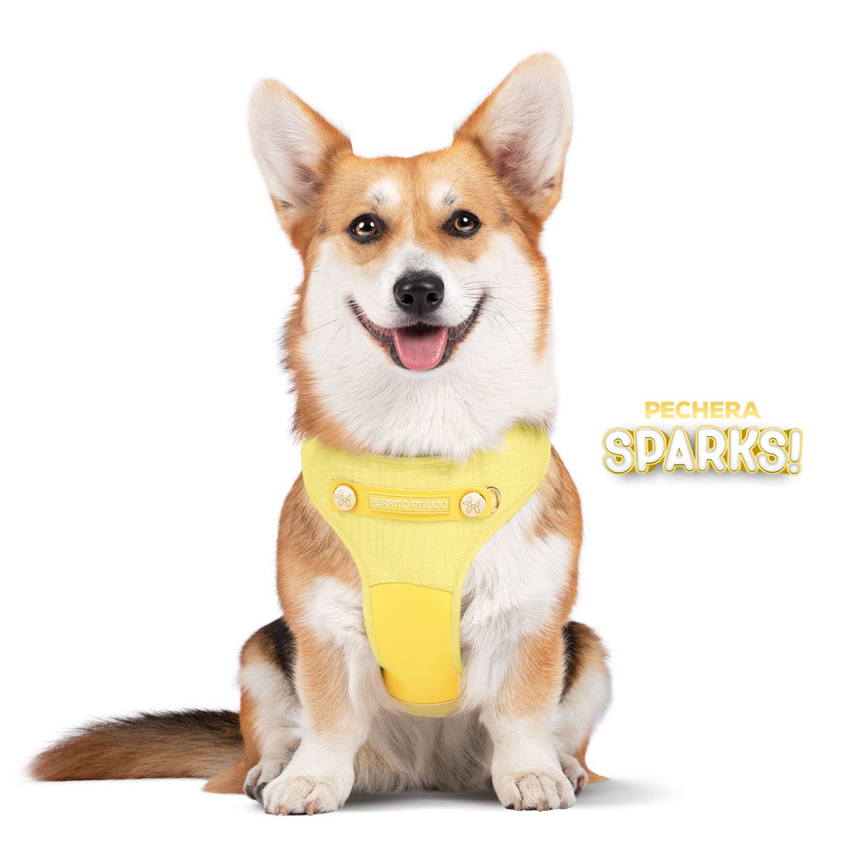 PERRITO PITUCO - PECHERA PERRITO PITUCO SPARKS AMARILLA TALLA L