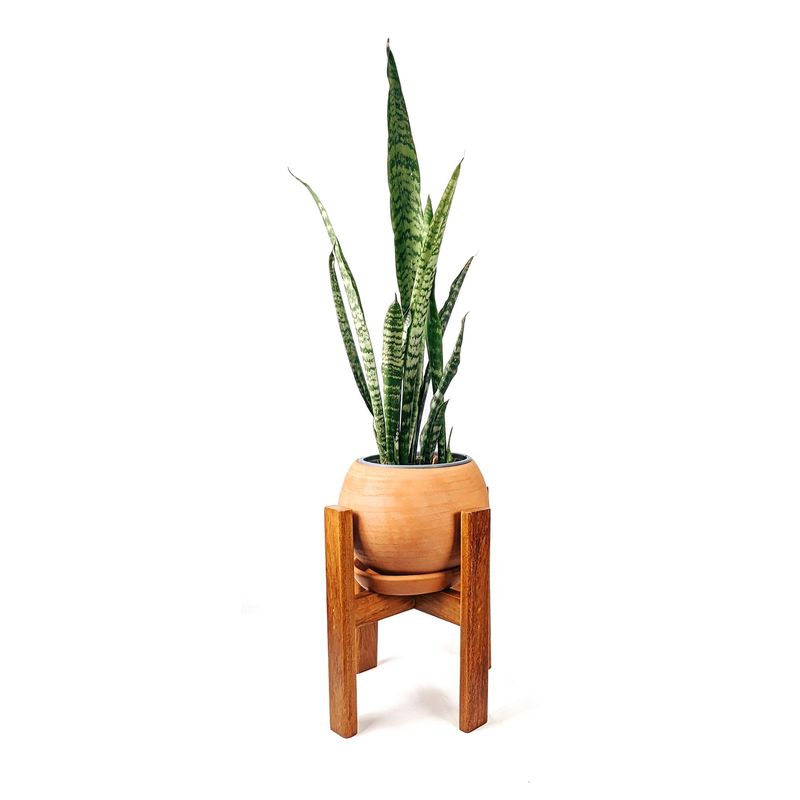 UN CUARTO VERDE - Parante de Madera UN CUARTO VERDE para Plantas y Macetas hasta 20cm