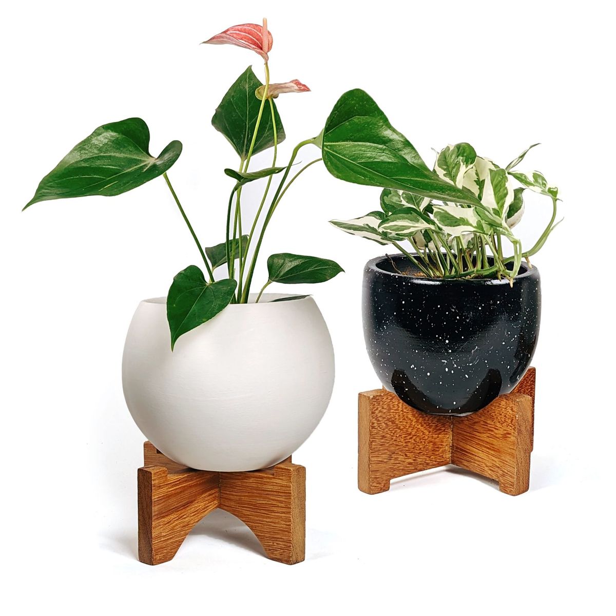 UN CUARTO VERDE - Parante Curvo de Madera UN CUARTO VERDE para Plantas y Macetas hasta 19cm