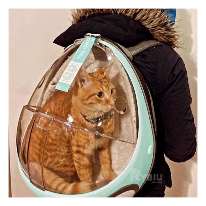 GENERICO - Mochila Portatil Perfecta para Gatos Celeste