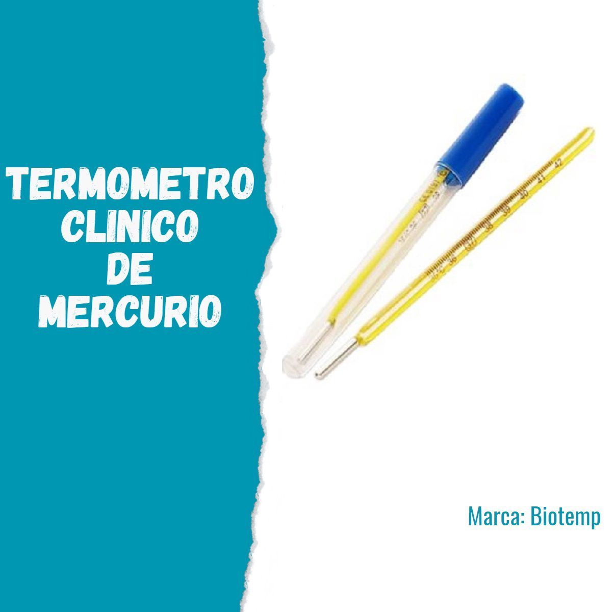 GENERICO - TERMOMETRO DE MERCURIO - BIOTEMP