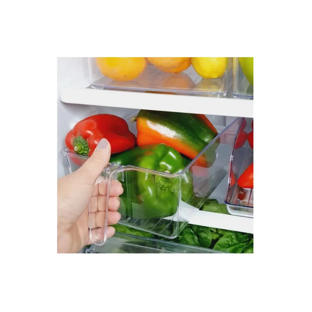 GENERICO - Organizador acrilico con asa